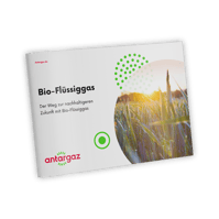 Bio-Flussiggas Cover